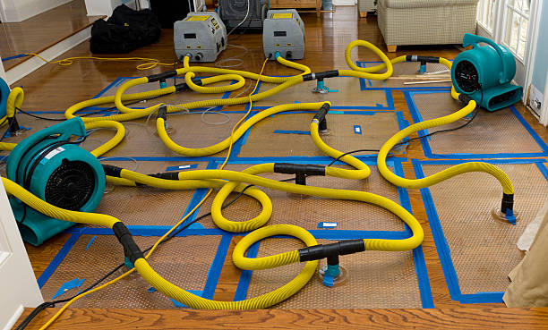 Professional Basement Flood Cleanup technician working in McGregor, FL